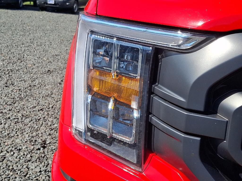 2023 FORD F-150 XLT 照片 9