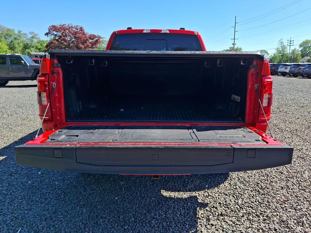 صورة مصغرة 29 لـ 2023 FORD F-150 XLT