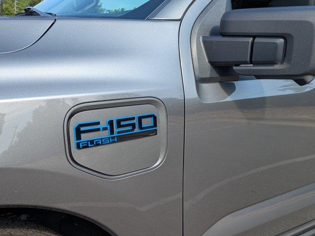 2025 FORD F-150 LIGHTNING FLASH — миниатюра 12