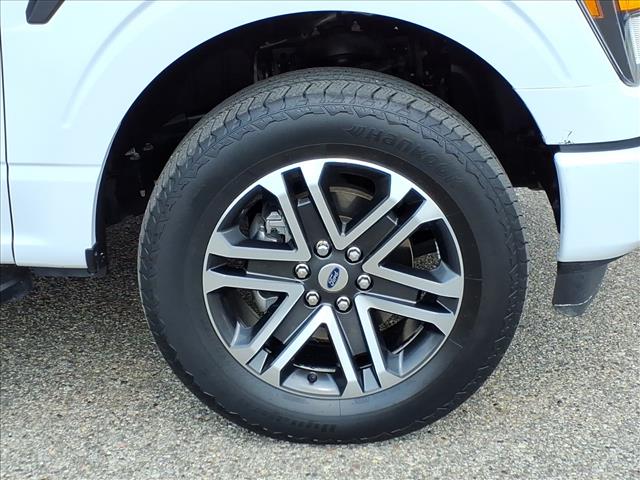 صورة 10 لـ 2023 FORD F-150 XL