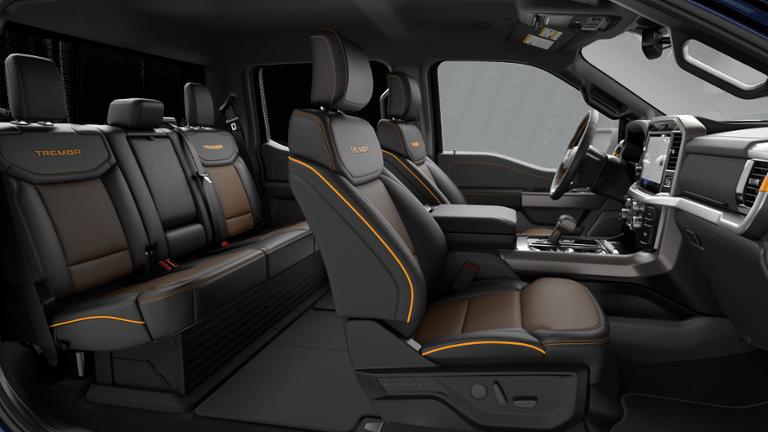 FORD F-150 TREMOR - 6