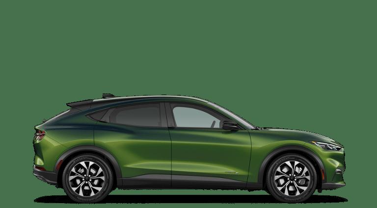 2026 FORD MUSTANG MACH-E SELECT 缩略图 30