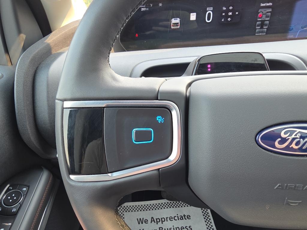 2025 FORD EXPEDITION ACTIVE thumbnail 25
