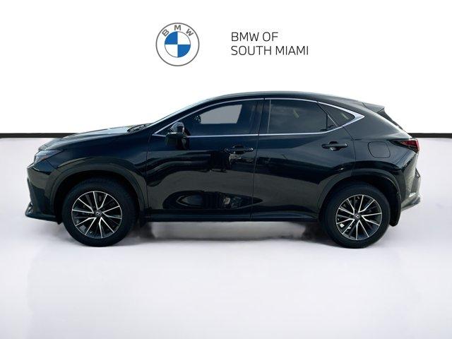 2023 Lexus NX 250 BASE 照片 4