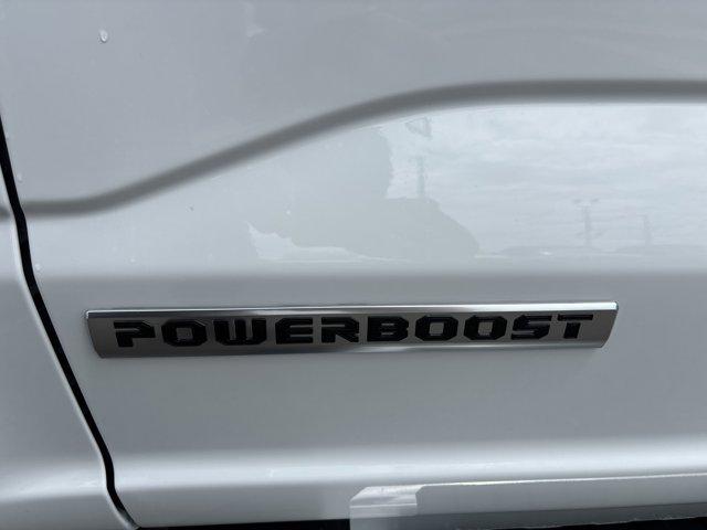 2025 FORD F-150 XL 照片 10