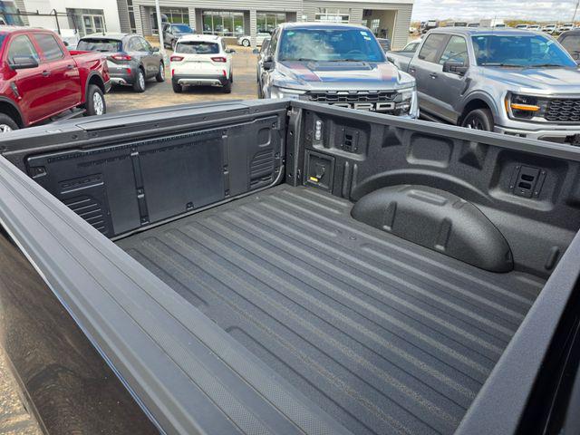 FORD F-150 XLT - 10