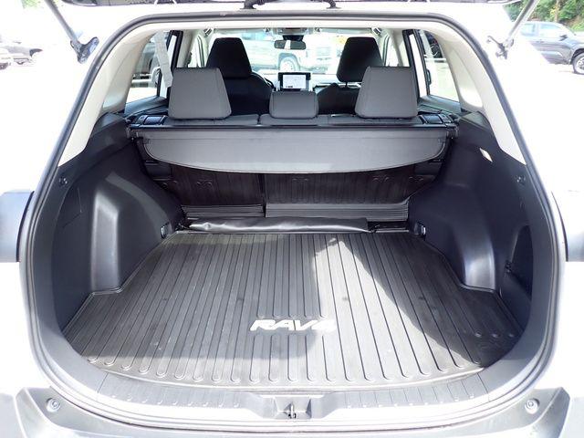 2025 Toyota RAV4 XLE 照片 6