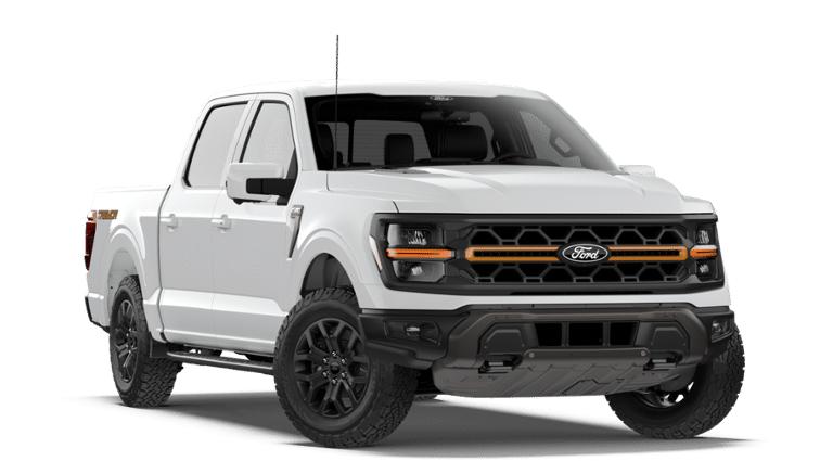 FORD F-150 TREMOR - 4