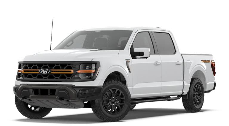 FORD F-150 TREMOR - 1