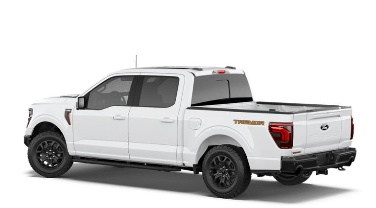 FORD F-150 TREMOR - 2