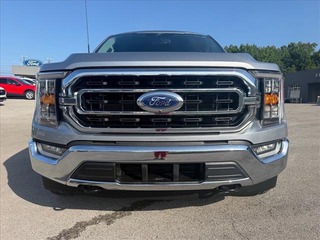 صورة 5 لـ 2023 FORD F-150 XLT