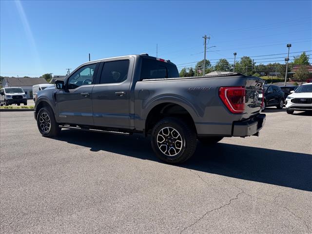 2023 FORD F-150 XLT 缩略图 13