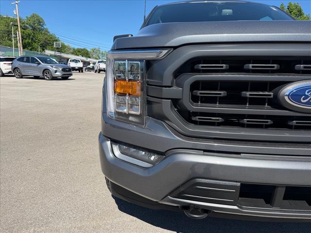 صورة 5 لـ 2023 FORD F-150 XLT