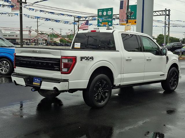 FORD F-150 PLATINUM - 6