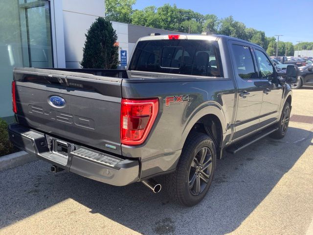 FORD F-150 XLT - 3