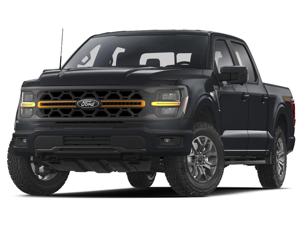 FORD F-150 TREMOR - 1