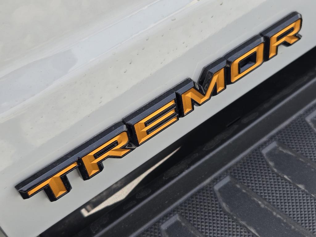 FORD F-150 TREMOR - 8
