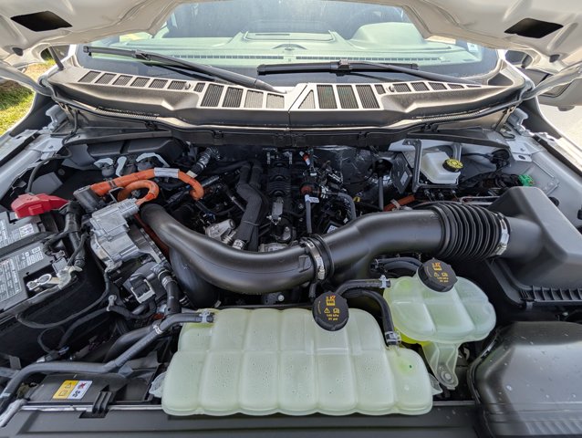 صورة 5 لـ 2025 FORD F-150 XLT