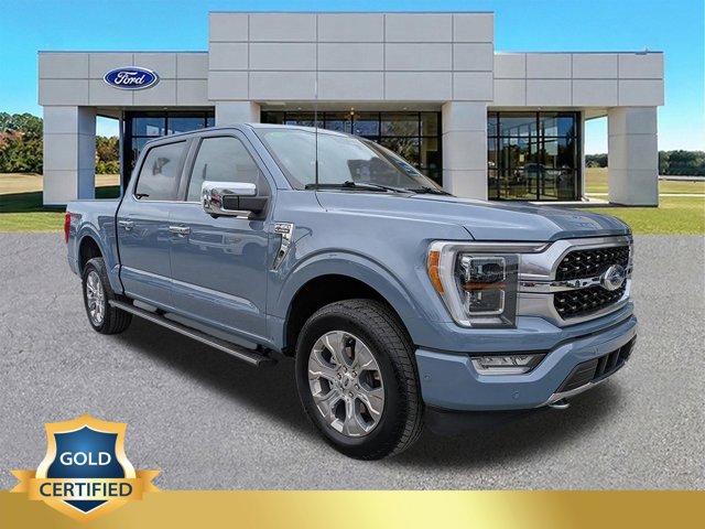 FORD F-150 PLATINUM - 1