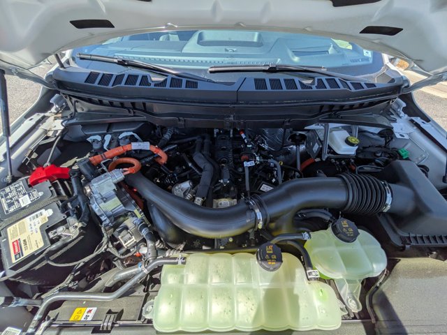 صورة 5 لـ 2025 FORD F-150 PLATINUM
