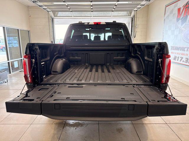 FORD F-150 PLATINUM - 9