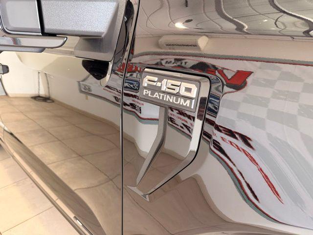 FORD F-150 PLATINUM - 7
