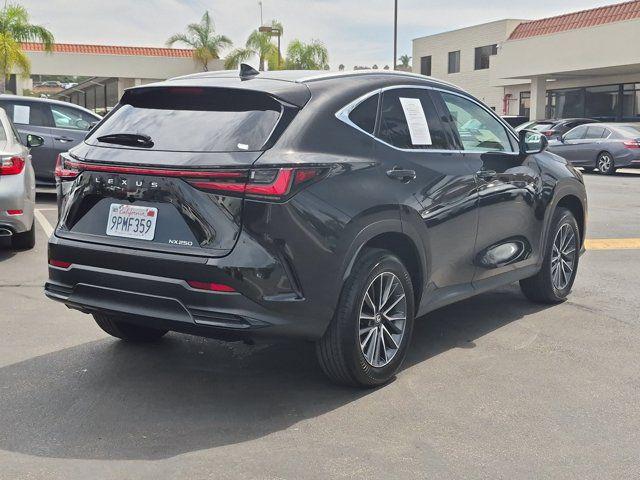 2025 Lexus NX 250 BASE — фото 5