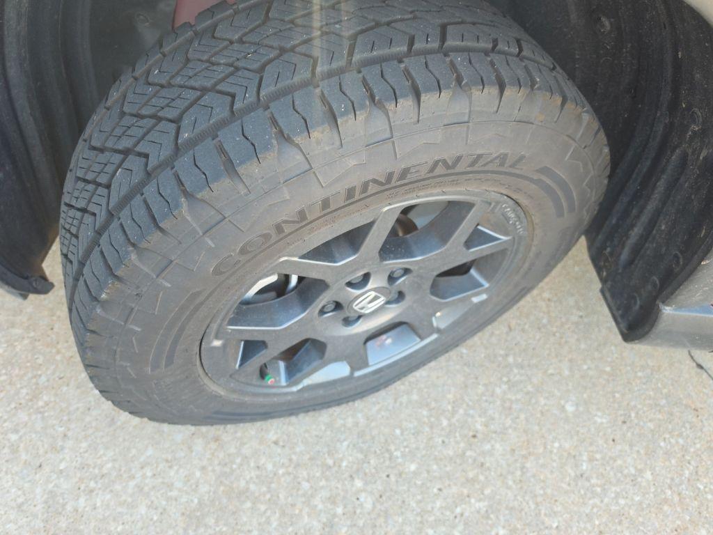 2025 Honda PILOT TRAILSPORT 照片 10