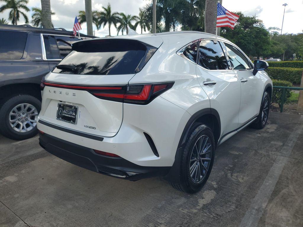 صورة 8 لـ 2025 Lexus NX 250 PREMIUM