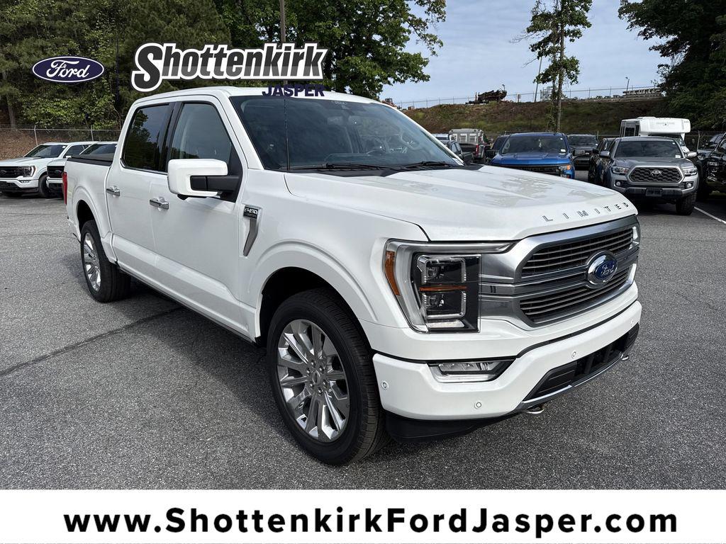 FORD F-150 LIMITED - 1