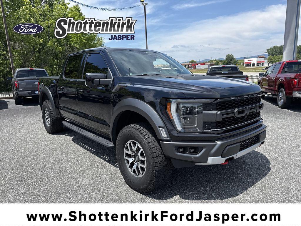 FORD F-150 RAPTOR - 1