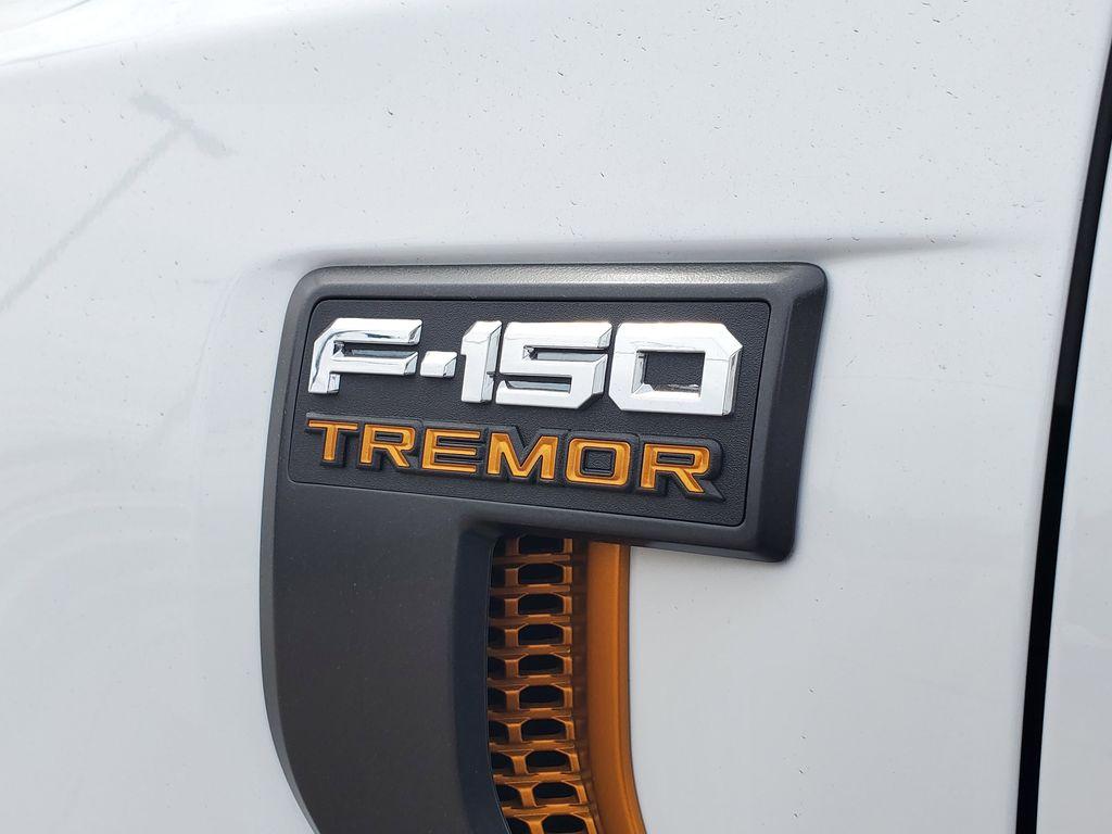 FORD F-150 TREMOR - 6