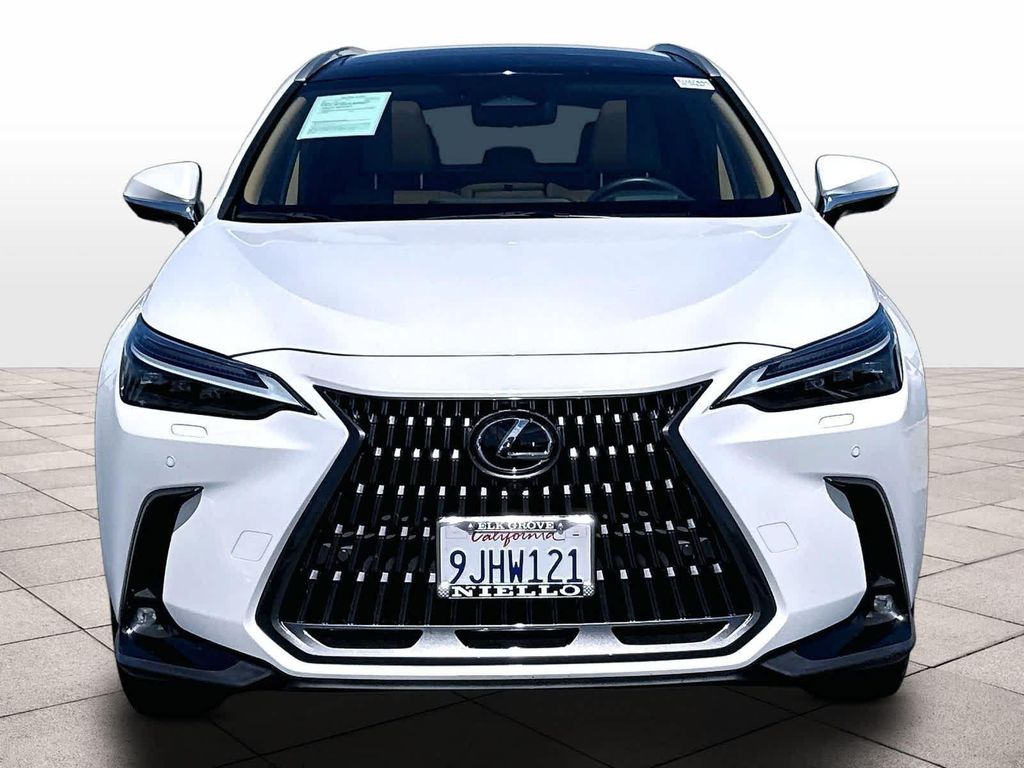 2024 Lexus NX 350 LUXURY — фото 2