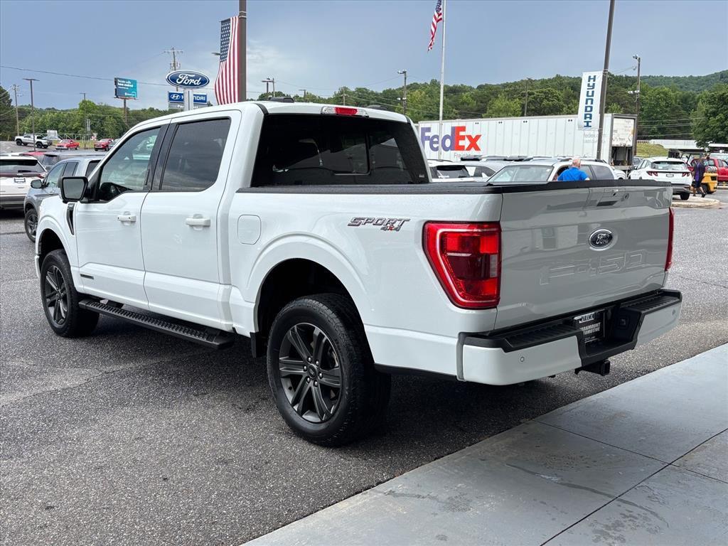 2023 FORD F-150 XLT 照片 2