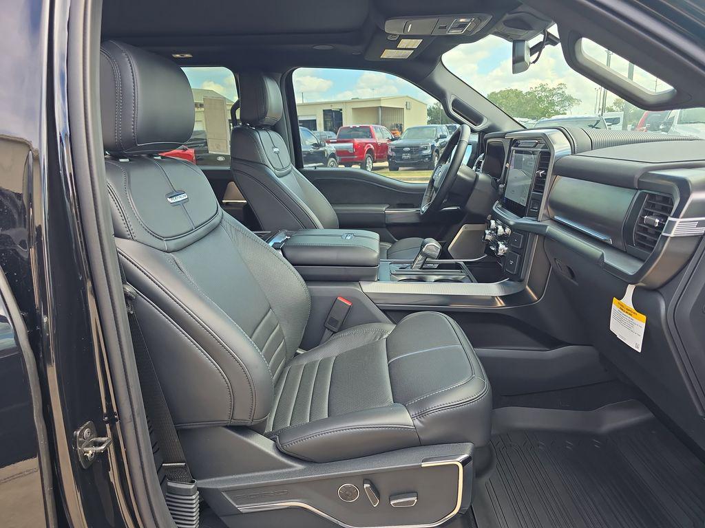 FORD F-150 PLATINUM - 10