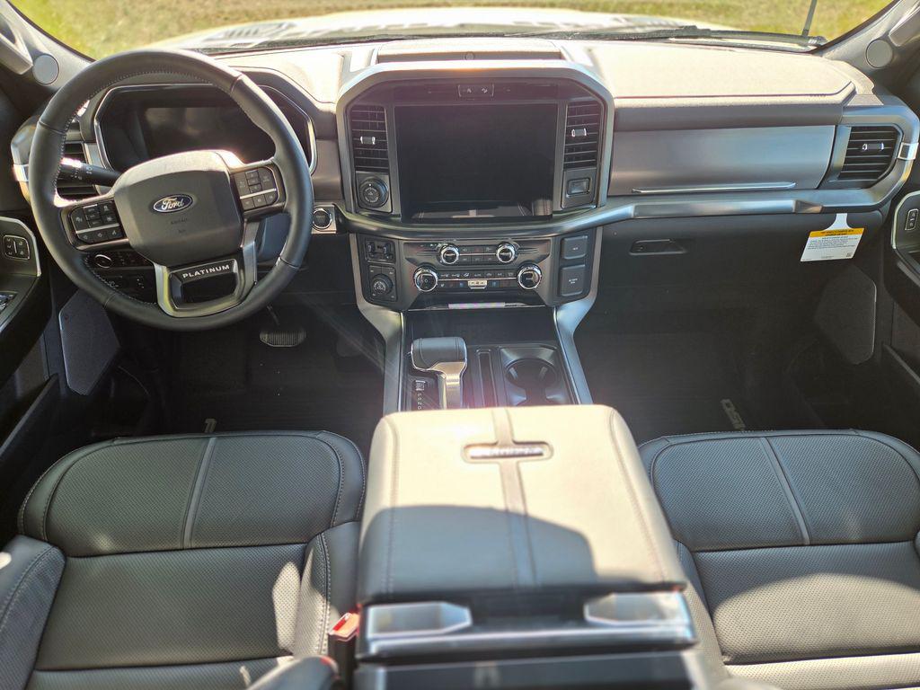 FORD F-150 PLATINUM - 8