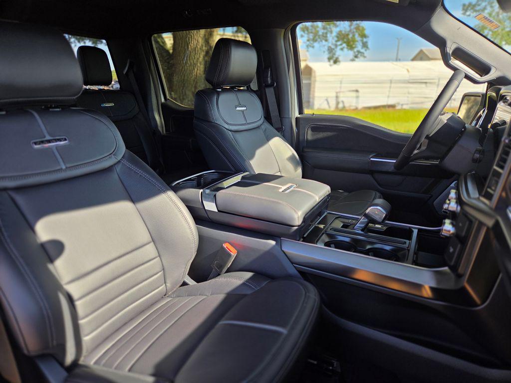 FORD F-150 PLATINUM - 9