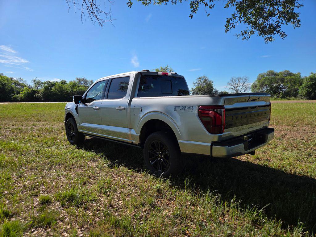 FORD F-150 PLATINUM - 6
