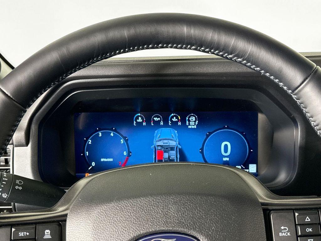 FORD F-150 PLATINUM - 10