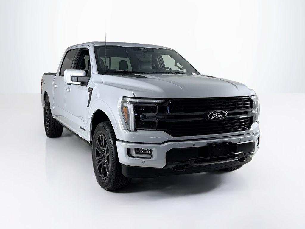 FORD F-150 PLATINUM - 7