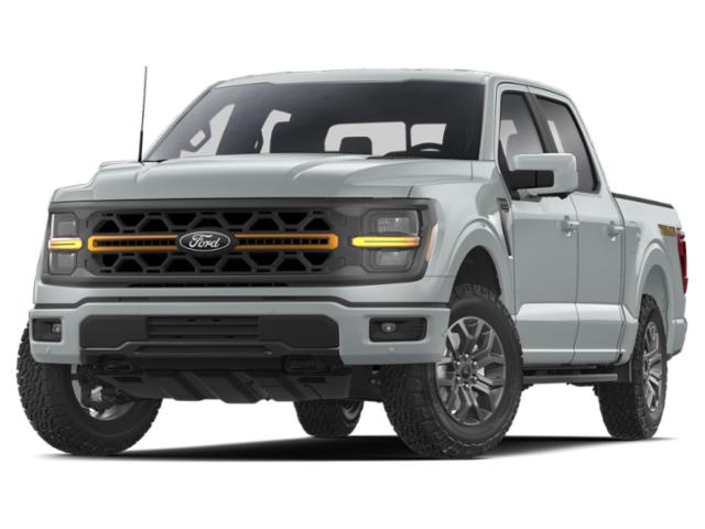 FORD F-150 TREMOR - 1
