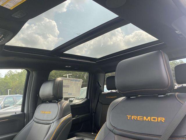 FORD F-150 TREMOR - 8