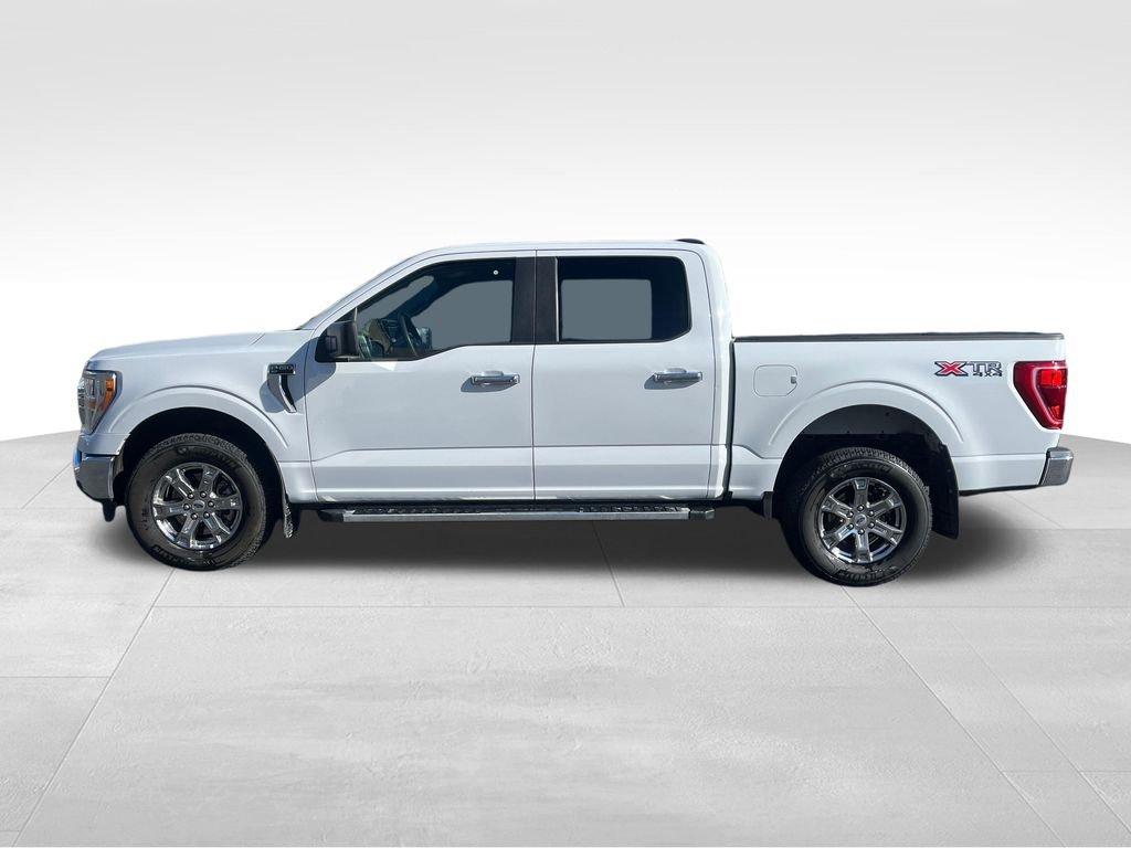 FORD F-150 XLT - 2