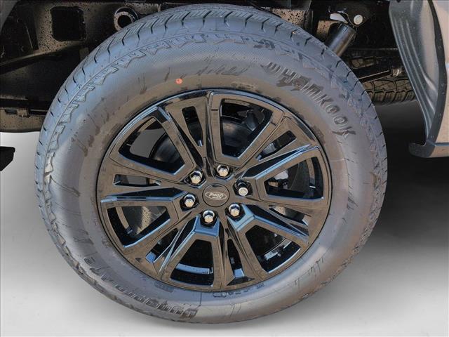 FORD F-150 PLATINUM - 10