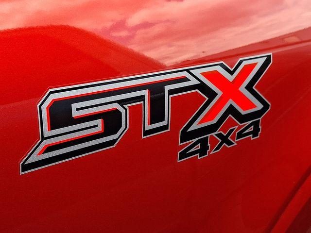 2023 FORD F-150 XL 照片 8