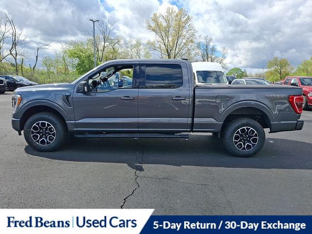 FORD F-150 XLT - 6