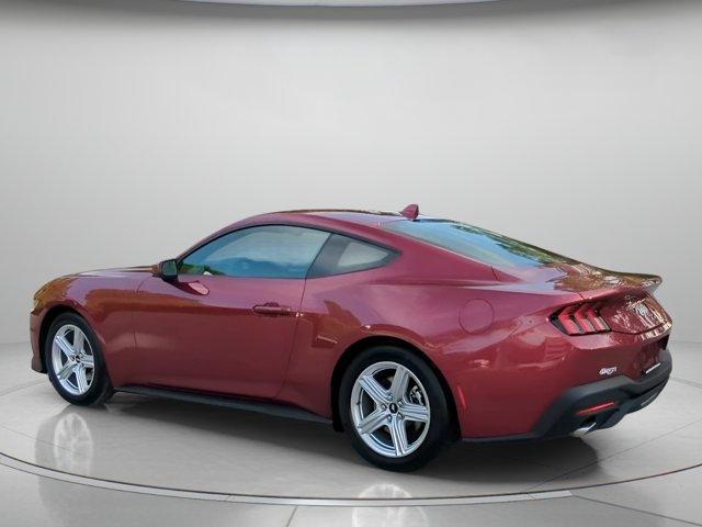 2026 FORD MUSTANG ECOBOOST — миниатюра 19