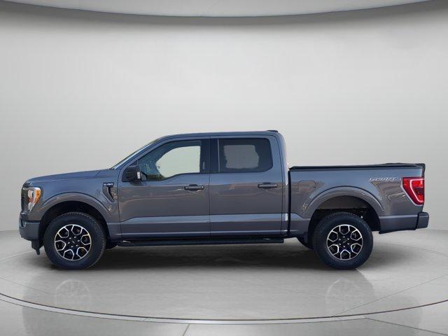 صورة مصغرة 43 لـ 2023 FORD F-150 XLT
