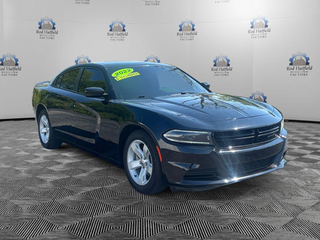 Photo 7