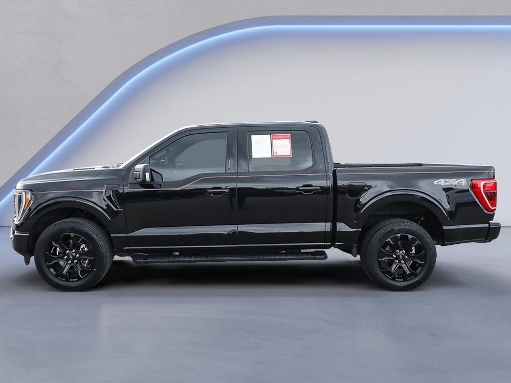 FORD F-150 XLT - 3